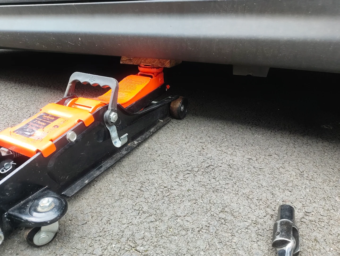 Jack with oak wood on saddle